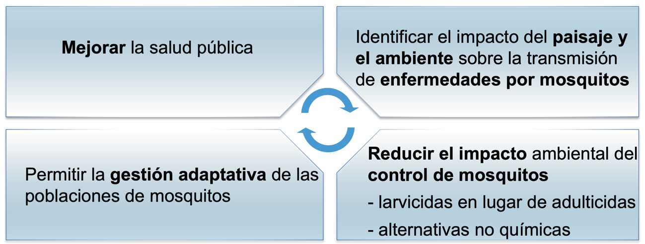 Impactos ARBOPREVENT