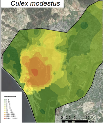 Mapa abundancia Culex modestus